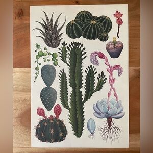 Botanical Art Print with Cacti and Succulents